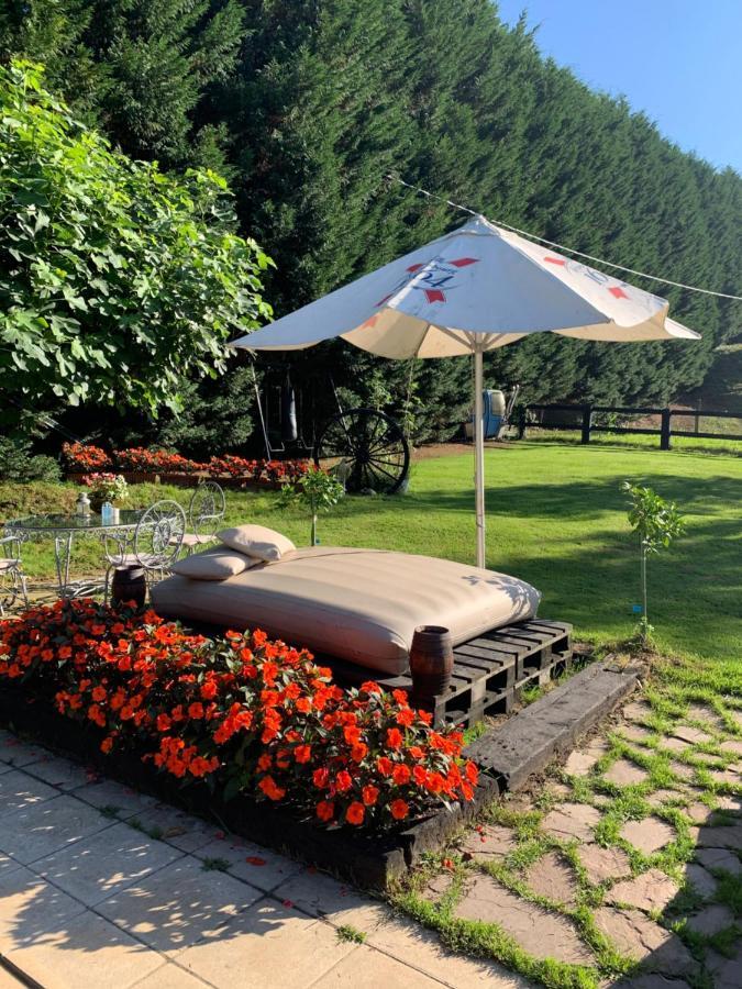 Agroturismo Anziola Oiartzun Exterior foto